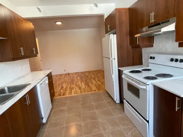 Joli 4 1/2 rénové près du MÉTRO PIE-IX