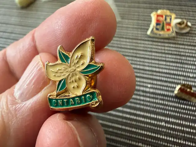 pins political Ontario cities rare - Photo 5