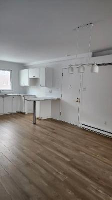 Beau logement à louer près de tout les services à St-Hyacint
