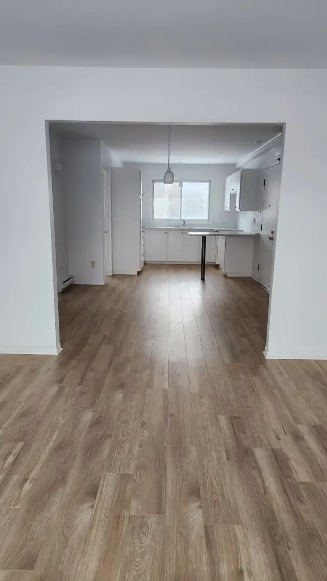 Beau logement à louer près de tout les services à St-Hyacint - Photo 3