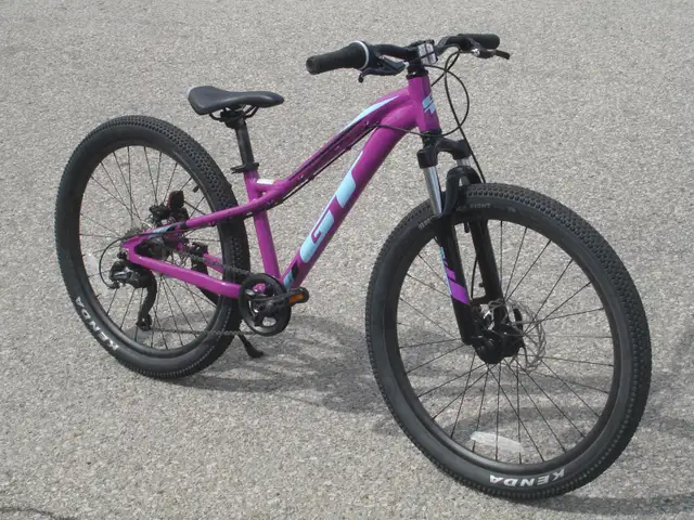 EYE CATCHER 24' GT STOMPER PRO 7 SPD, DISC BRAKES & SUSPENSION! - Photo 2