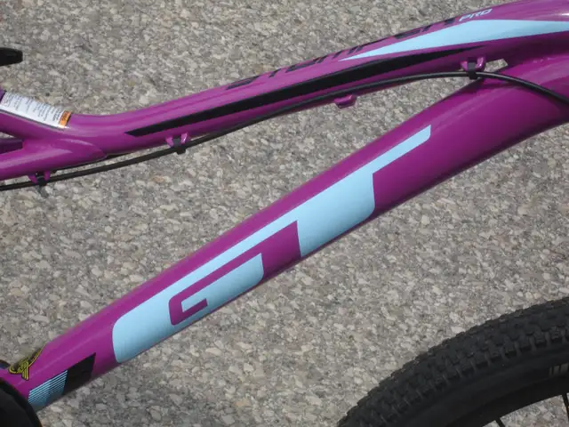 EYE CATCHER 24' GT STOMPER PRO 7 SPD, DISC BRAKES & SUSPENSION! - Photo 5