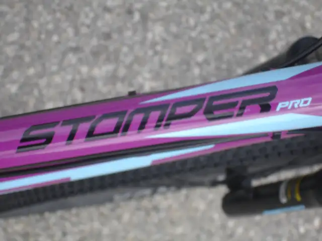 EYE CATCHER 24' GT STOMPER PRO 7 SPD, DISC BRAKES & SUSPENSION! - Photo 6