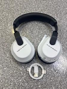 Turtle Beach Stealth 600G3P Headset With Dongle