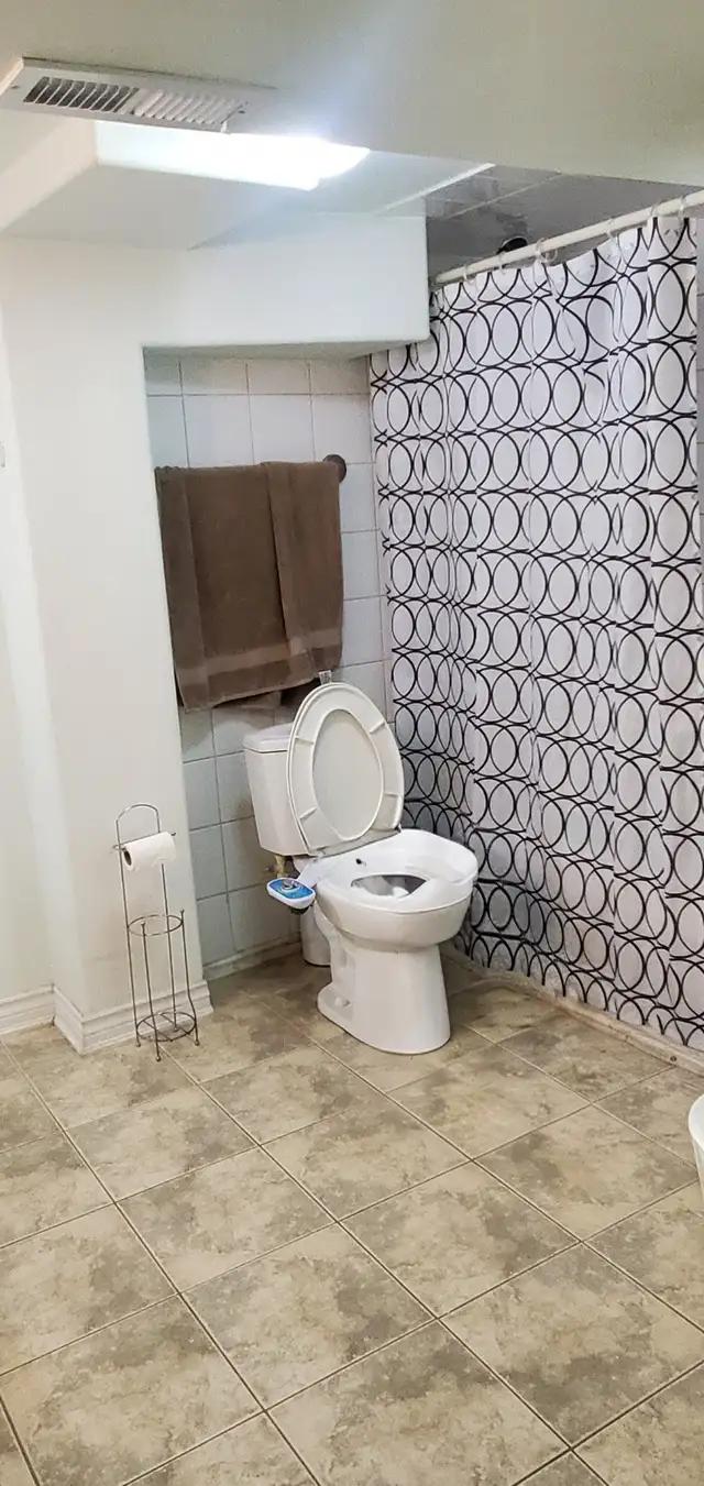 Malton - Basement Apartment (1 bed/1 bath) for rent - Photo 3