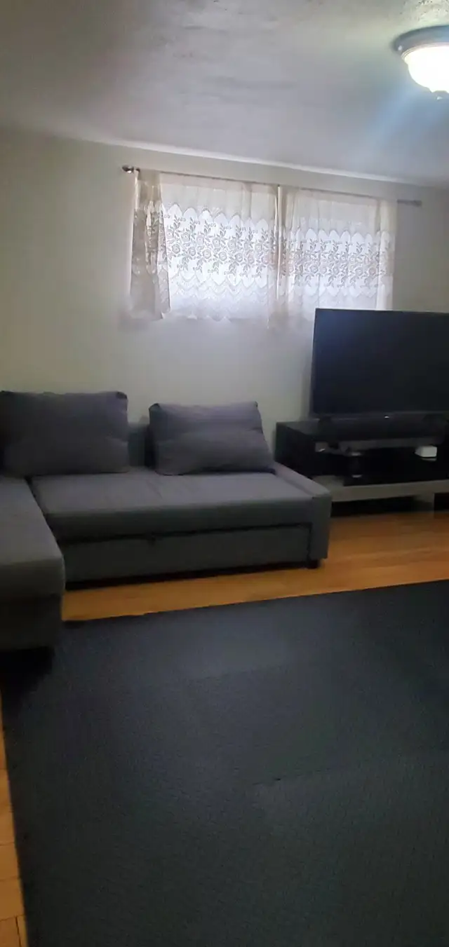 Malton - Basement Apartment (1 bed/1 bath) for rent - Photo 5