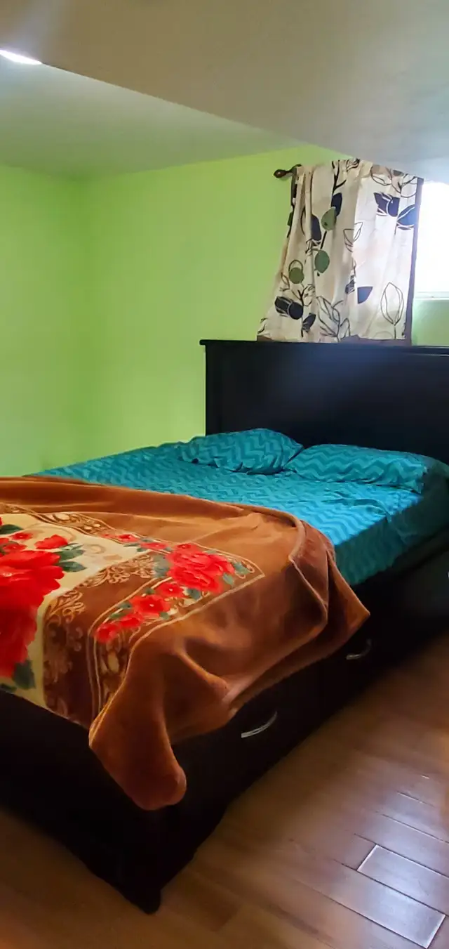 Malton - Basement Apartment (1 bed/1 bath) for rent - Photo 6