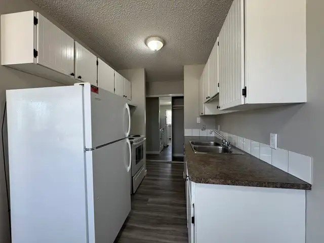 Amazing 2 Bedroom  Apartment on Quiet Close! - Photo 2