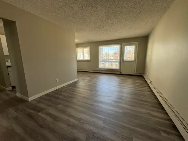 Amazing 2 Bedroom  Apartment on Quiet Close! - Photo 5