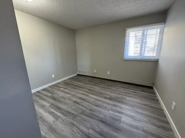 Amazing 2 Bedroom  Apartment on Quiet Close! - Photo 6