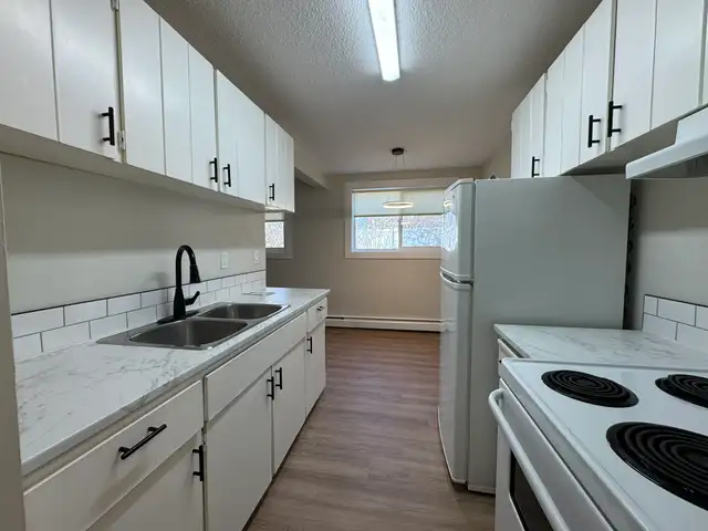 Updated 1 Bed Suite | Pet Friendly | In-Suite Laundry - Photo 2