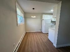 Updated 1 Bed Suite | Pet Friendly | In-Suite Laundry - Photo 4