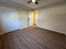 Updated 1 Bed Suite | Pet Friendly | In-Suite Laundry - Photo 7