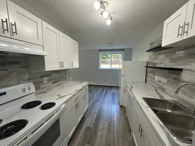 2 Weeks Free Spacious 2-Bedroom Apartment - SMALL PET FRIENDLY! - Photo 2