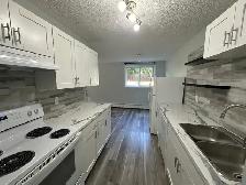 2 Weeks Free Spacious 2-Bedroom Apartment - SMALL PET FRIENDLY! - Photo 2