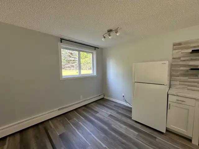 2 Weeks Free Spacious 2-Bedroom Apartment - SMALL PET FRIENDLY! - Photo 3