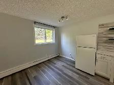 2 Weeks Free Spacious 2-Bedroom Apartment - SMALL PET FRIENDLY! - Photo 3