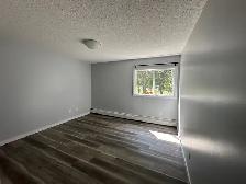 2 Weeks Free Spacious 2-Bedroom Apartment - SMALL PET FRIENDLY! - Photo 11