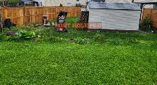 Now Hiring – Fence & Deck Labourer / Installer - Photo 2