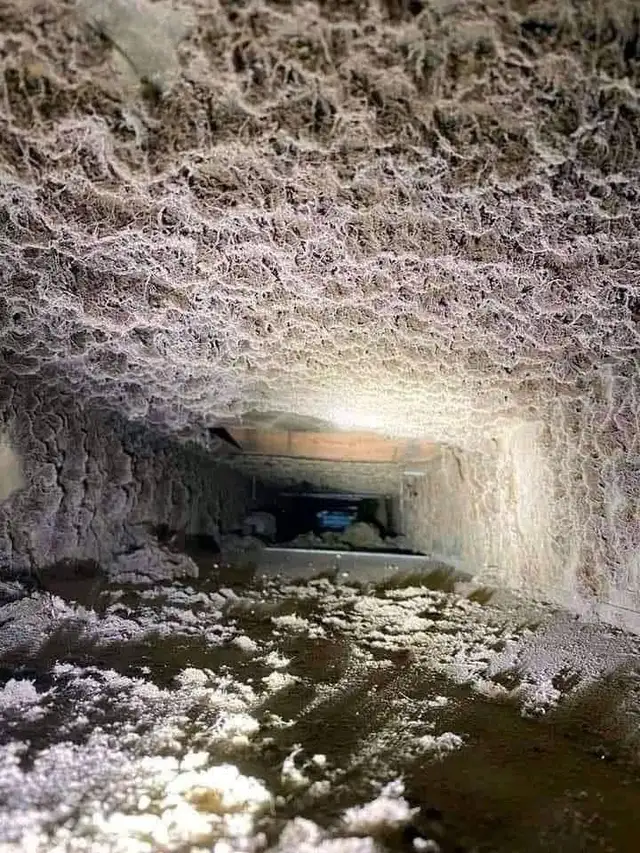 Furnace And Duct Cleaning Offer $139 - Photo 4