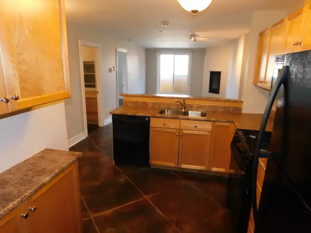 Sweet Downtown Dartmouth 1bed/1bath condo! VIDEO TOUR! - Photo 14