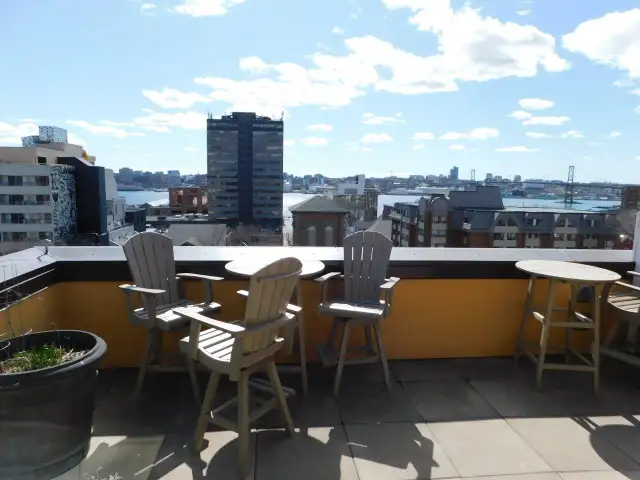 Sweet Downtown Dartmouth 1bed/1bath condo! VIDEO TOUR! - Photo 25
