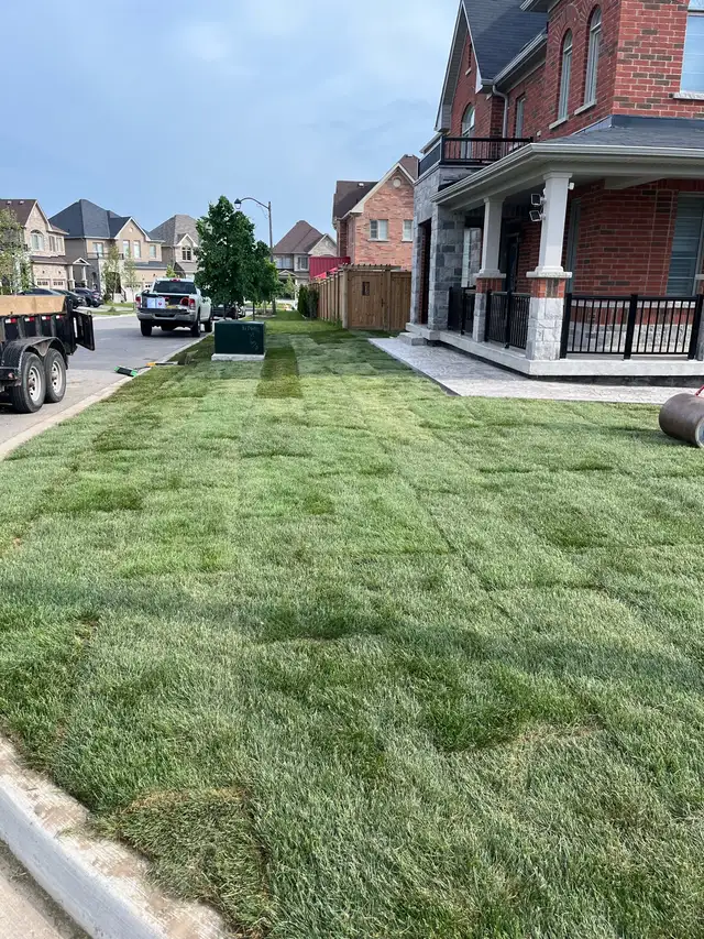 Durham region sodding installation - Photo 2