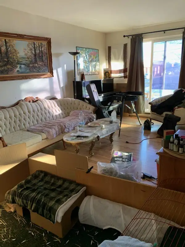 Appartement à louer à St-Hubert 4 et demie - Photo 5