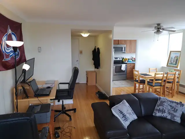 Furnished 1 bed 1 bath apt available May 1 Glebe 1 parking avail