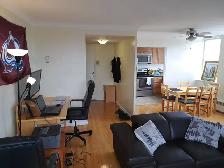 Furnished 1 bed 1 bath apt available May 1 Glebe 1 parking avail