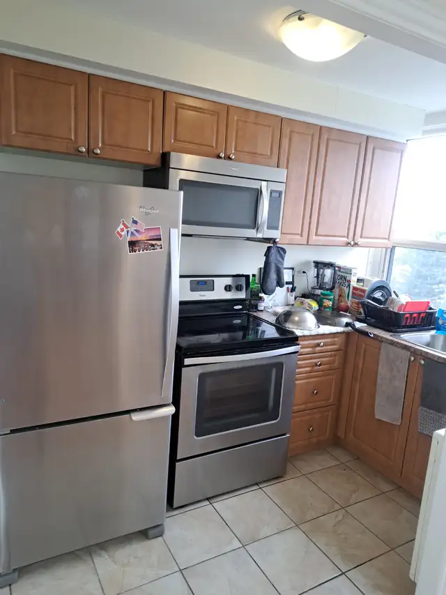 Furnished 1 bed 1 bath apt available May 1 Glebe 1 parking avail - Photo 15