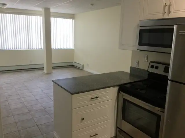 $877 Quiet, secure Studio apartment  2 blocks from MacEwen U, - Photo 3