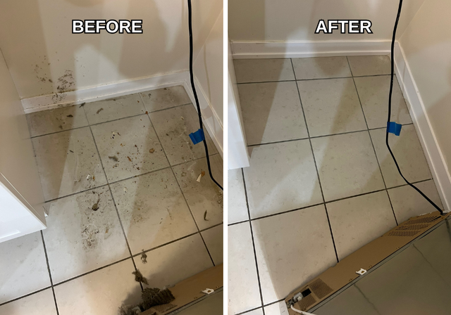 House Cleaning - Photo 4