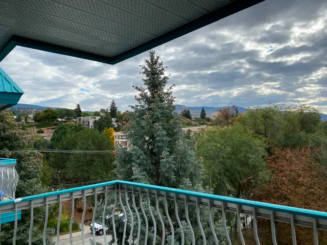 1 BEDROOM APARTMENT - PET FRIENDLY-HEAT INCLUDED