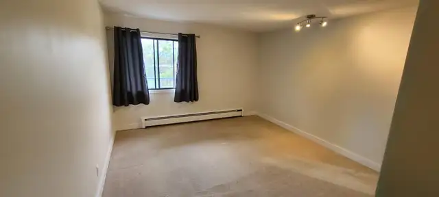 1 BEDROOM APARTMENT - PET FRIENDLY-HEAT INCLUDED - Photo 6