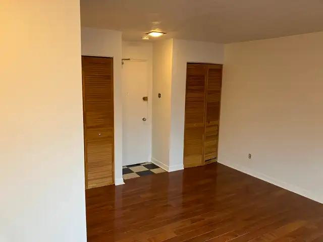 Centretown Bachelor/Studio Apartment for Rent -192 Somerset St W - Photo 10