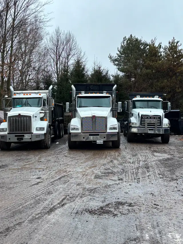 Dump Truck or Roll Off Truck Driver