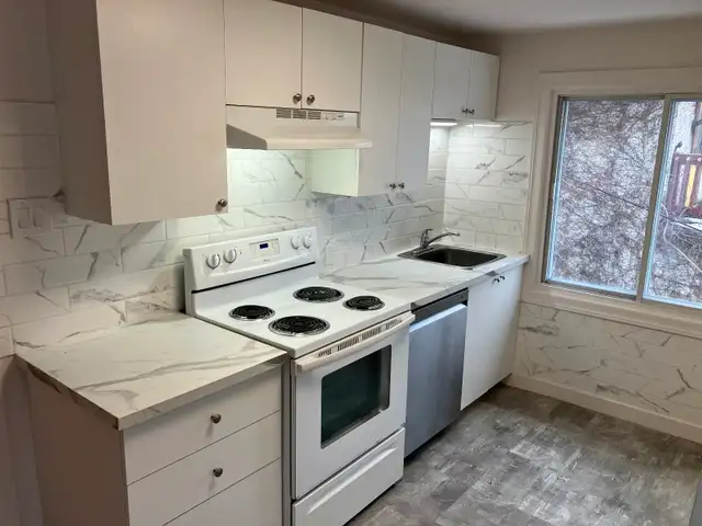 HUGE 2 Bedroom   Den, 2 Bathroom Centretown Apartment 542 Bay St - Photo 3