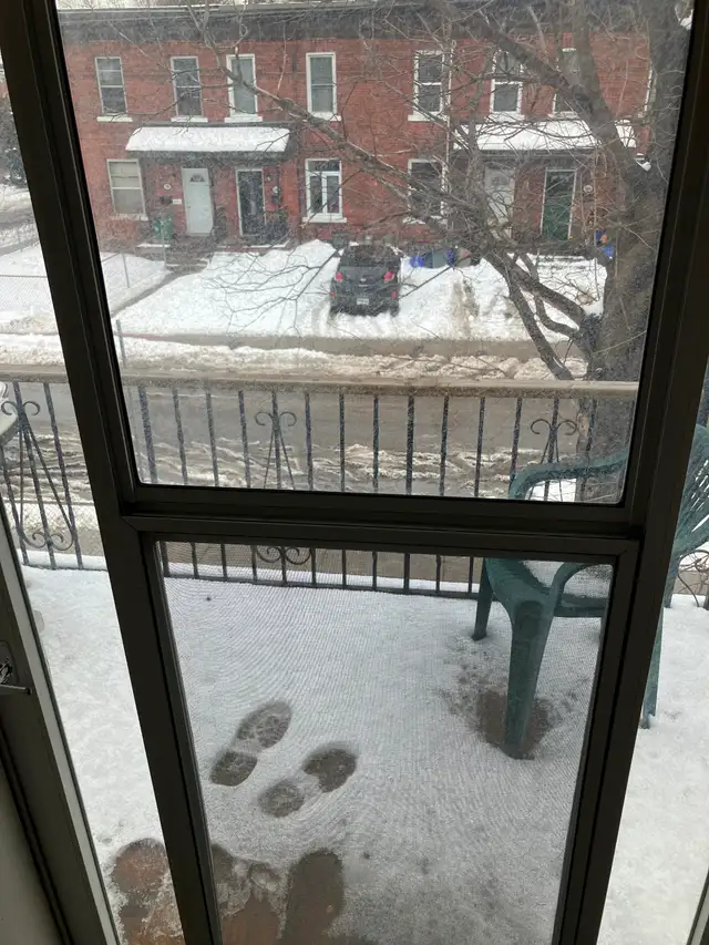 HUGE 2 Bedroom   Den, 2 Bathroom Centretown Apartment 542 Bay St - Photo 8