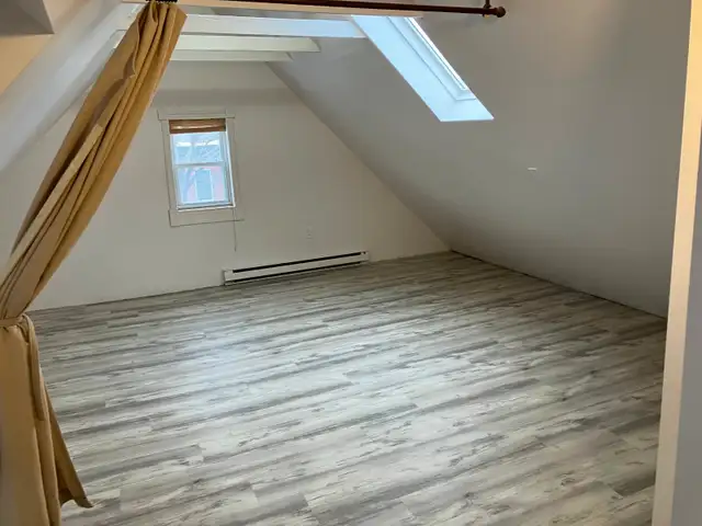 HUGE 2 Bedroom   Den, 2 Bathroom Centretown Apartment 542 Bay St - Photo 10