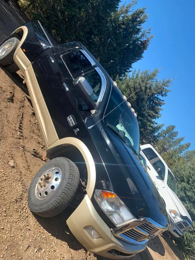 DUMP RUNS AND PROPERTY CLEAN UPS