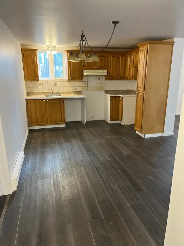 5 1/2 2 salles de bains 3 chambres à louer Sainte-Julienne - Photo 6