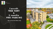 South Facing 1-Bedroom Apartment in Quiet Building in Brampton