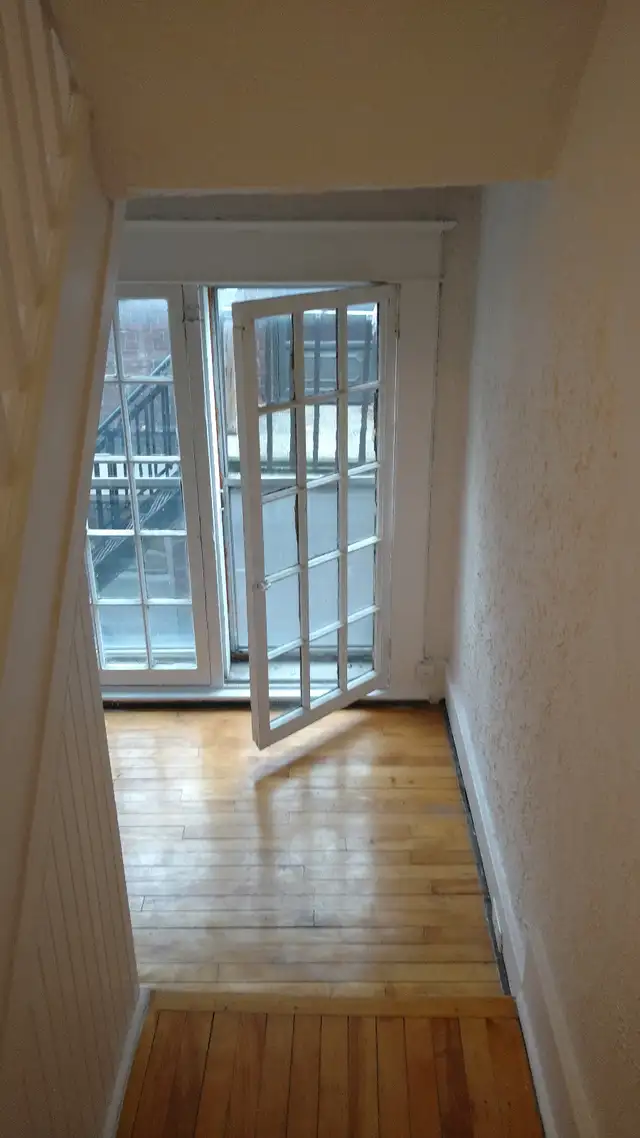 3 Bedroom Sandy Hill Apartments for Rent (Somerset/Blackburn) - Photo 10