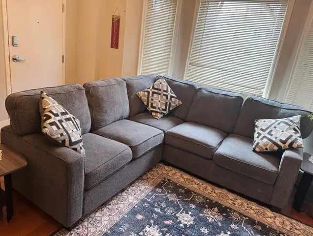 Moving Sale- Almost new couch!