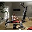 BowFleX BlaZe with 310 Pounds gym weights exercise