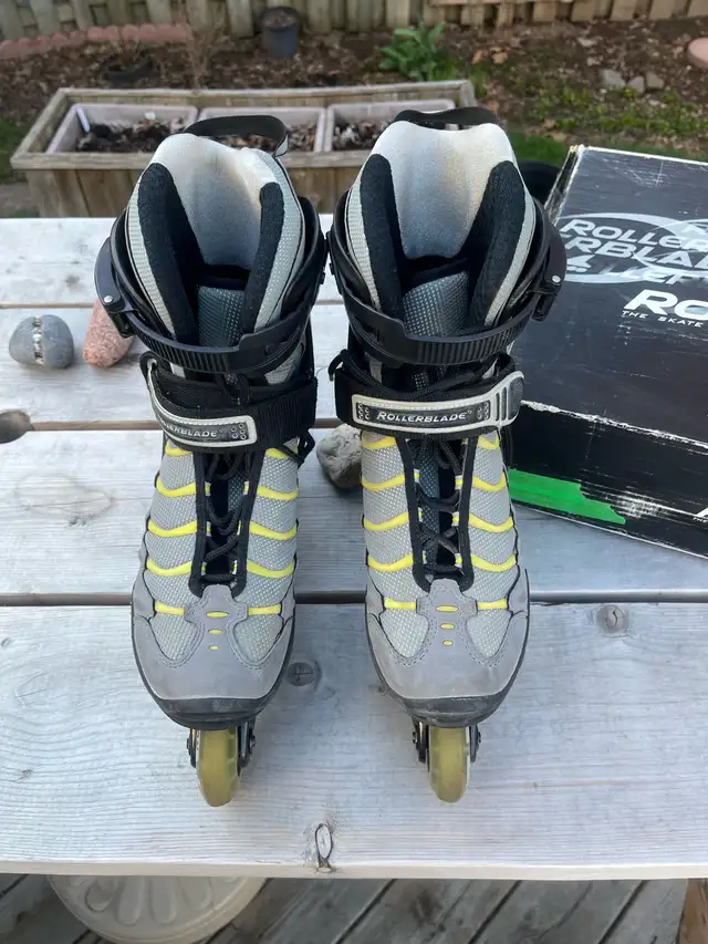 Roller Blades