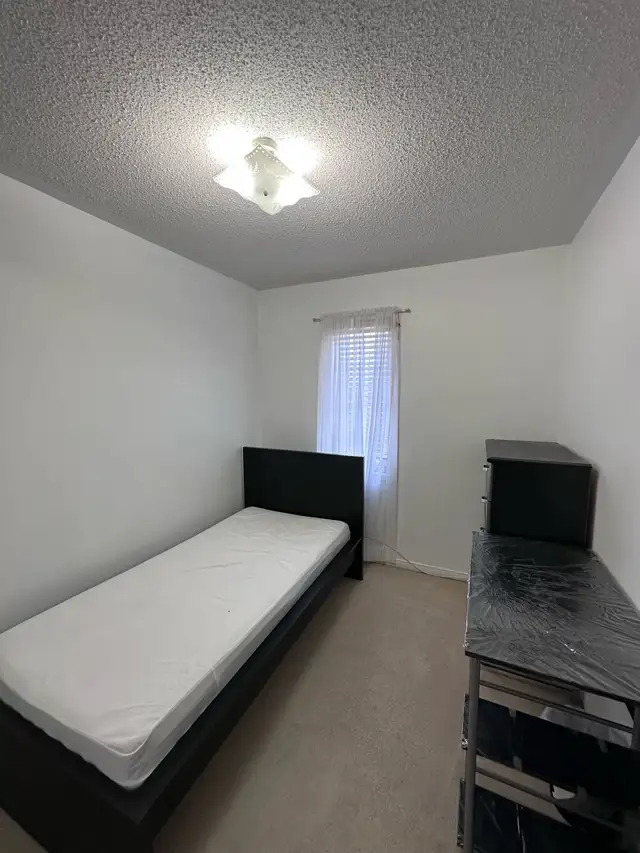 Mississauga-Room Rentals