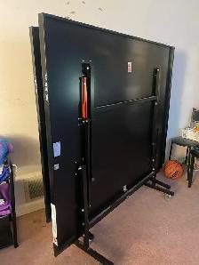 Double fish table tennis Ping Pong table with net & rackets