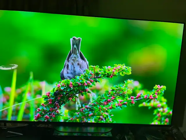 Samsung 4k smart tv 65 inches like new - Photo 4